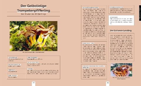 InsideView 3