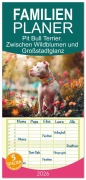 Cover-Bild zum Titel 'Familienplaner 2026 - Pit Bull Terrier. Zwischen Wildblumen und Großstadtglanz mit 5 Spalten (Wandkalender, 21 x 45 cm) CALVENDO' von 'Rose Hurley'