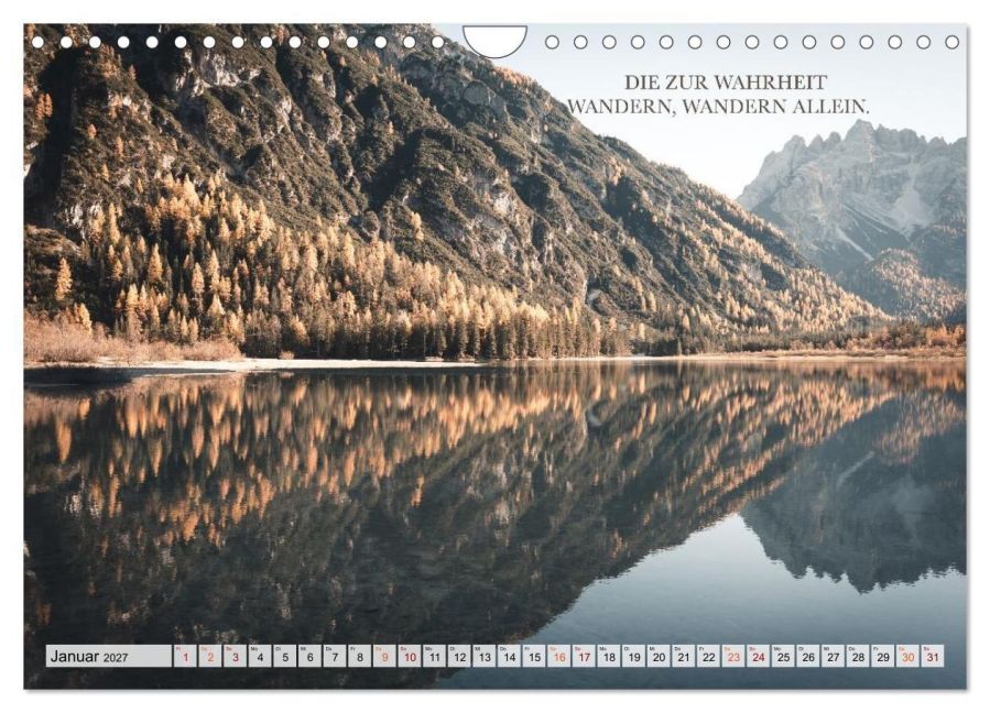 InsideView 6