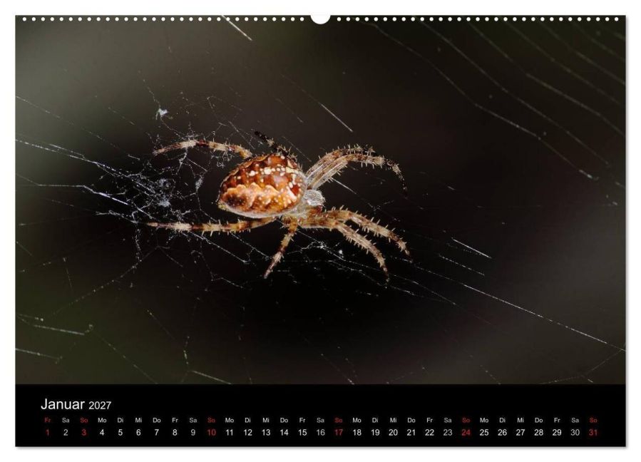InsideView 5