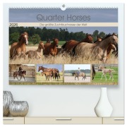 Cover-Bild zum Titel 'Quarter Horses - Die größte Zuchtbuchrasse der Welt (hochwertiger Premium Wandkalender 2026 DIN A2 quer), Kunstdruck in Hochglanz' von 'B. Mielewczyk'