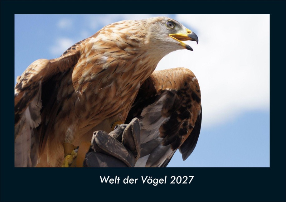 Welt der Vögel 2027 Fotokalender DIN A4 - Tobias Schmitt, Kevin Heber