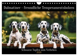 Cover-Bild zum Titel 'Dalmatiner - freundliche Temperamentsbolzen (Wandkalender 2026 DIN A4 quer), CALVENDO Monatskalender' von 'Claudia Kleemann'