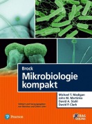 Cover-Bild zum Titel 'Brock Mikrobiologie kompakt' von 'Michael T. Madigan, John M. Martinko, David A. Stahl, David P. Clark'