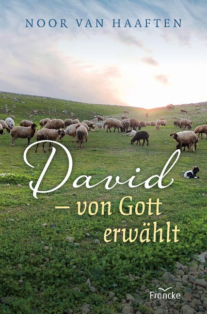 David - von Gott erwählt - Noor van Haaften