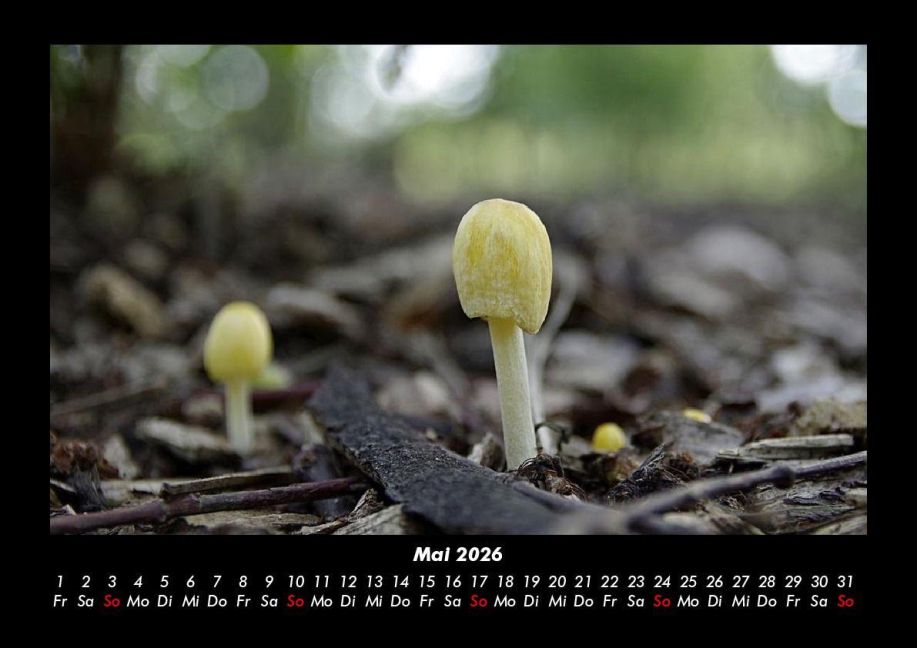 InsideView 9