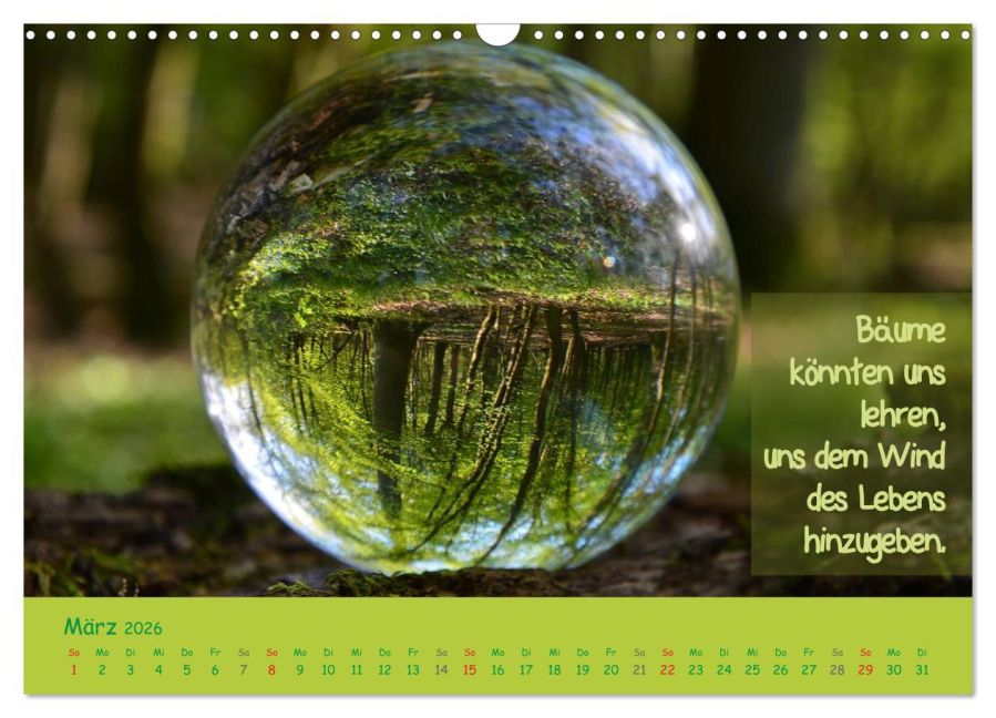 InsideView 8