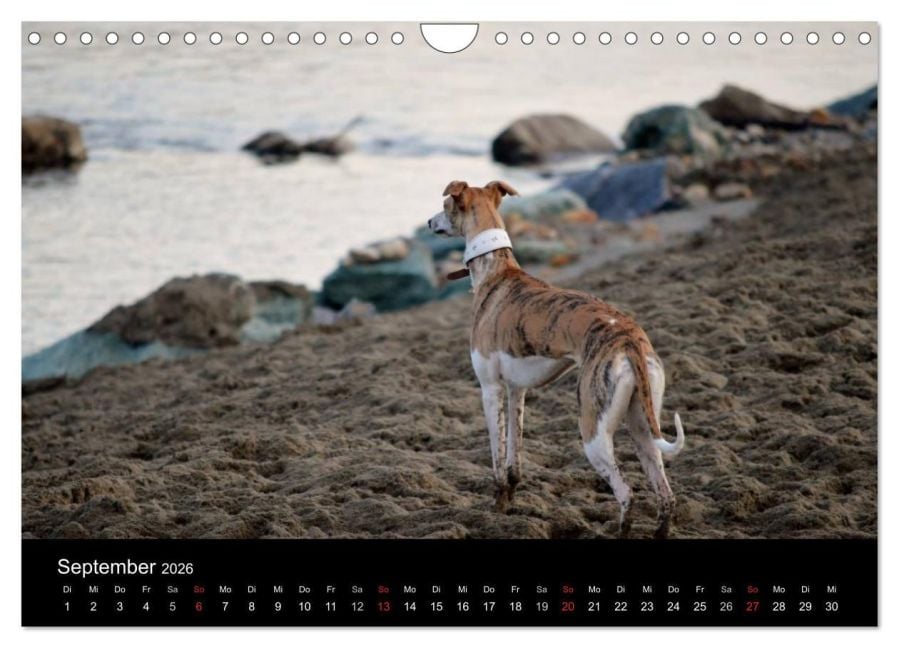 InsideView 14
