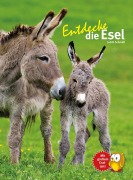 Cover-Bild zum Titel 'Entdecke die Esel' von 'Judith Schmidt'