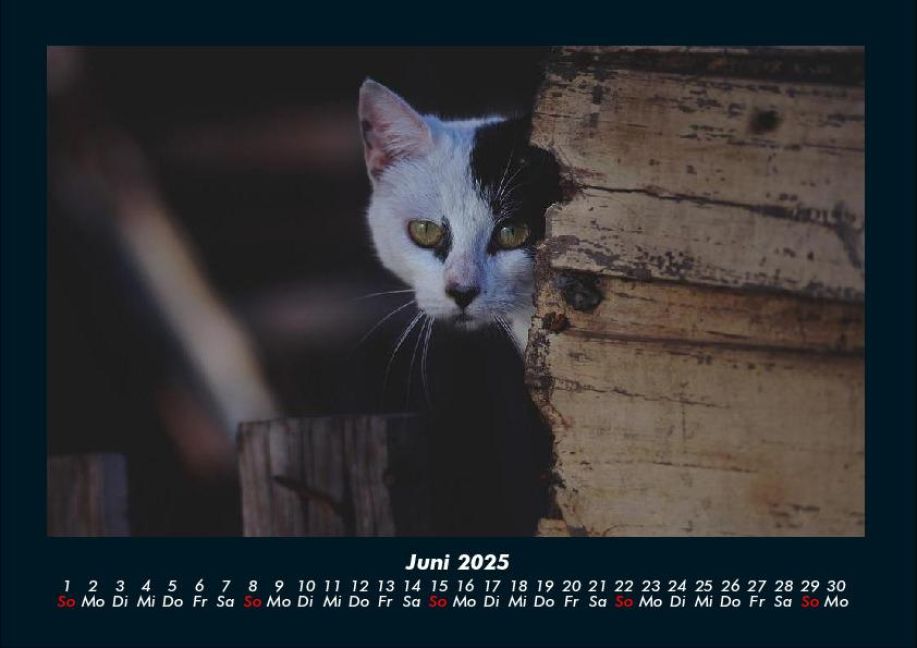 InsideView 10