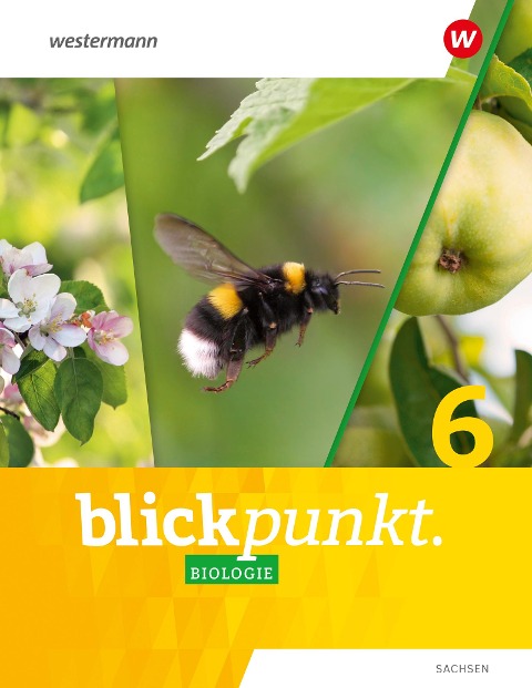 Blickpunkt Biologie 6. Schulbuch. Für Sachsen - 
