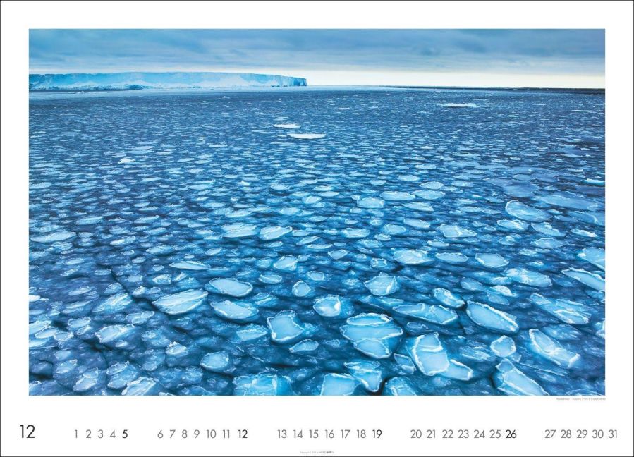 InsideView 12