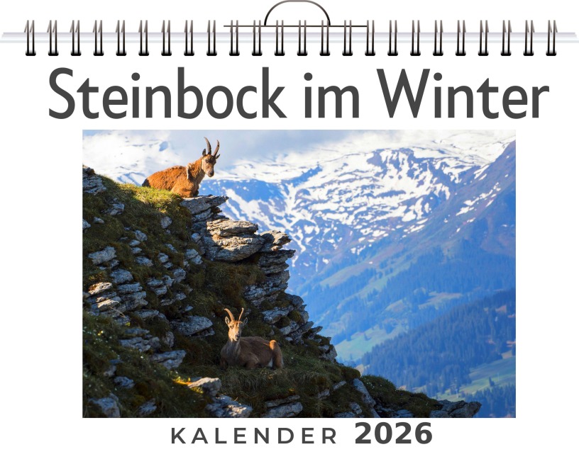 Steinbock im Winter - Max Schwarz