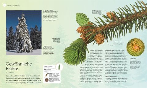 InsideView 5
