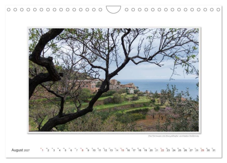 InsideView 13