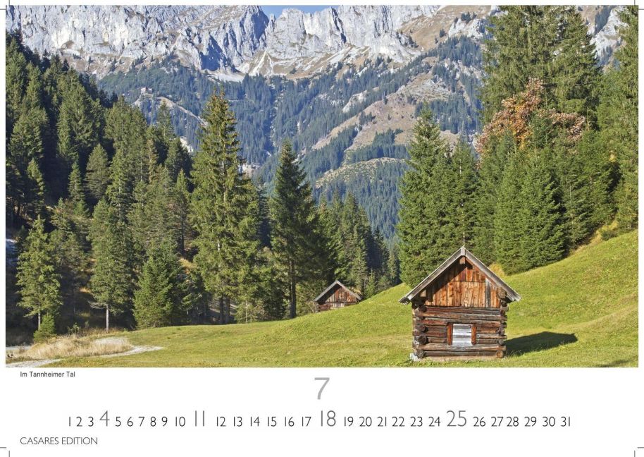 InsideView 7