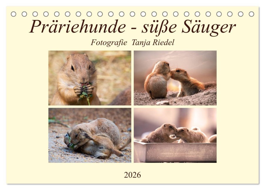 Präriehunde - süße Säuger (Tischkalender 2026 DIN A5 quer), CALVENDO Monatskalender - Tanja Riedel