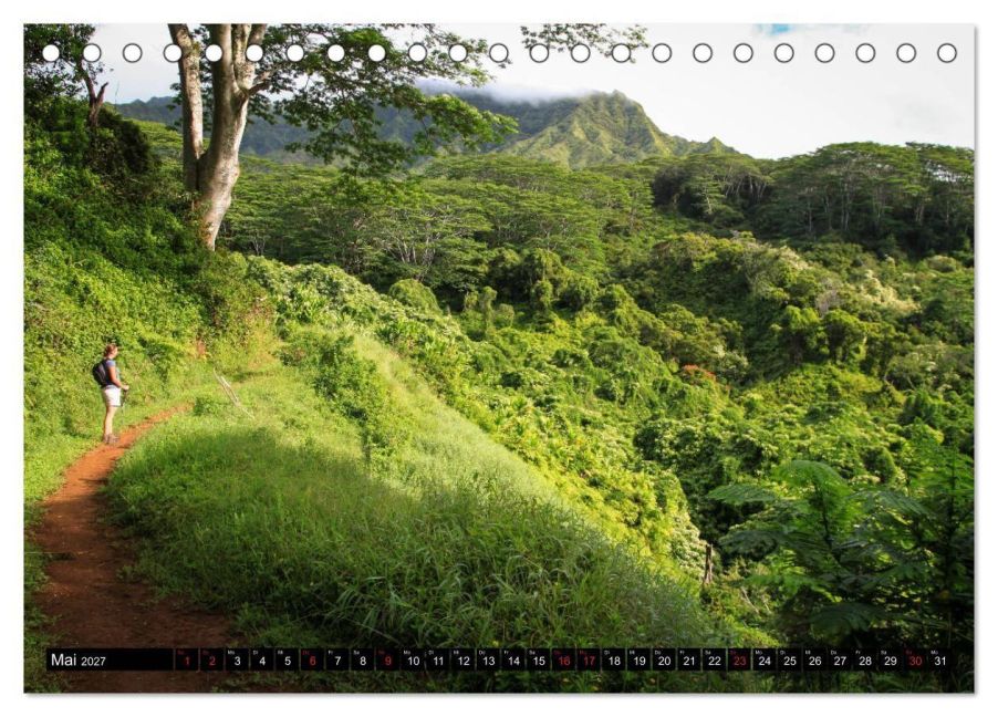 InsideView 10