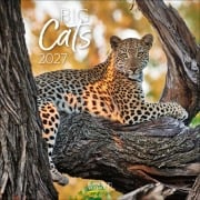 Cover-Bild zum Titel 'Big Cats 2027' von ''