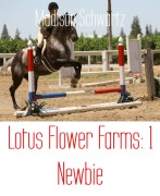 Lotus Flower Farms: 1 Newbie - Madison Schwartz