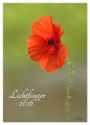 Cover-Bild zum Titel 'Lichtfänger (Wandkalender 2026 DIN A2 hoch), CALVENDO Monatskalender' von 'Ulrike Adam'
