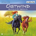 Cover-Bild zum Titel 'Ostwind - Ein Freund für Feuersturm' von 'Rosa Schwarz'
