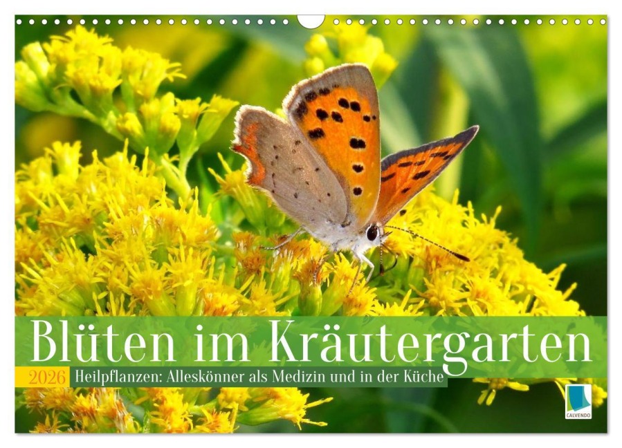 Blüten im Kräutergarten (Wandkalender 2026 DIN A3 quer), CALVENDO Monatskalender - Calvendo Calvendo