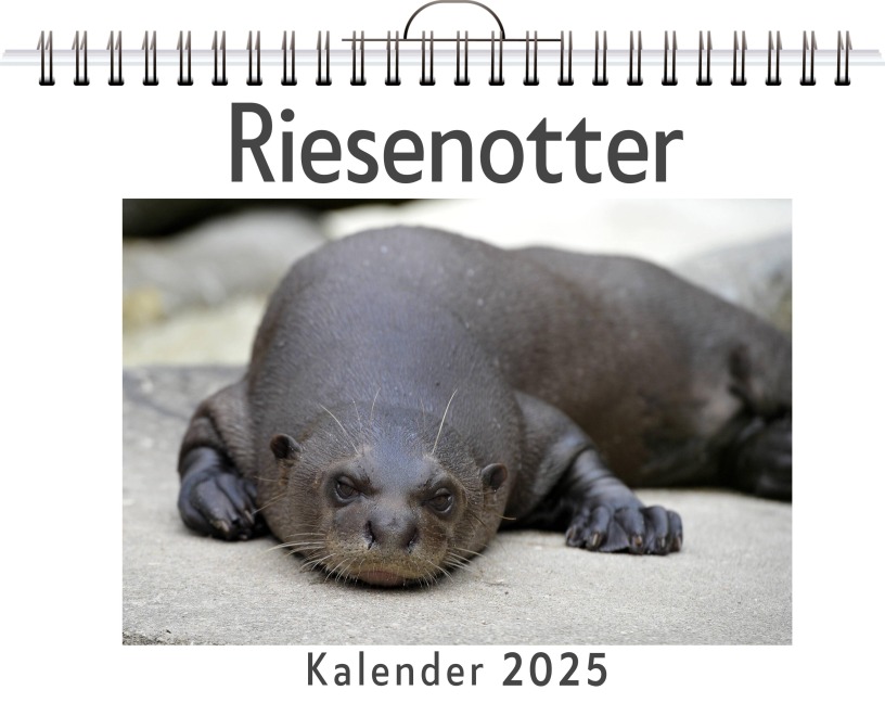 Riesenotter - Alice Fuchs