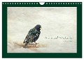 Stare und Weisheiten (Wandkalender 2025 DIN A4 quer), CALVENDO Monatskalender - Heike Hultsch