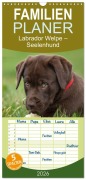 Familienplaner 2026 - Labrador Welpe - Seelenhund mit 5 Spalten (Wandkalender, 21 x 45 cm) CALVENDO - Petra Schiller