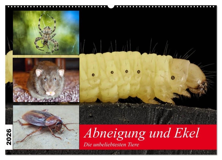 Abneigung und Ekel. Die unbeliebtesten Tiere (Wandkalender 2026 DIN A2 quer), CALVENDO Monatskalender - Rose Hurley