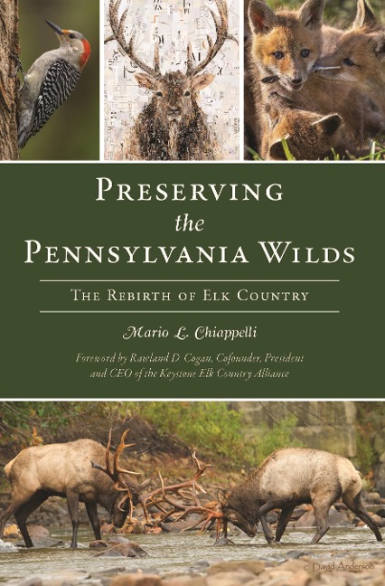 Preserving the Pennsylvania Wilds - Mario Chiappelli