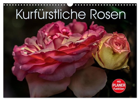 Kurfürstliche Rosen Eltville am Rhein (Wandkalender 2024 DIN A3 quer), CALVENDO Monatskalender - Dieter Meyer
