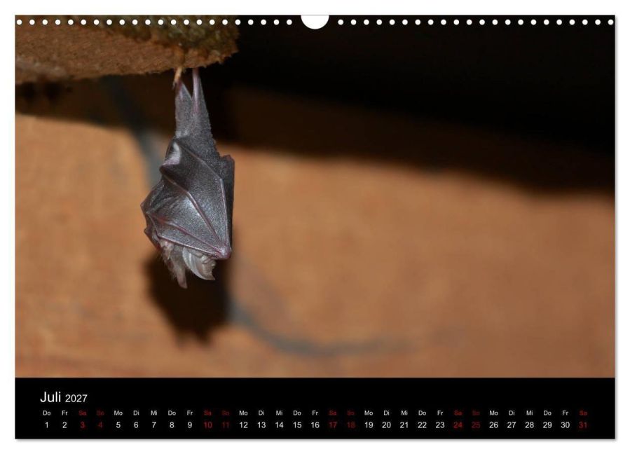 InsideView 12