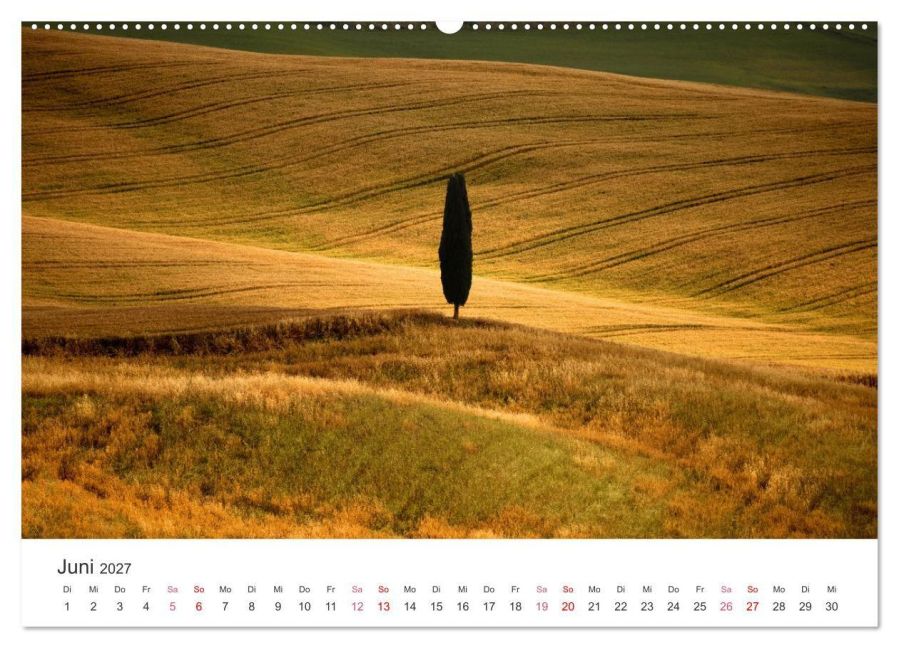 InsideView 11