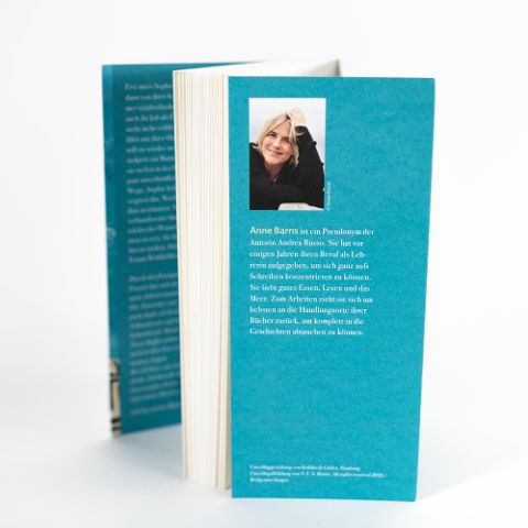 InsideView 6