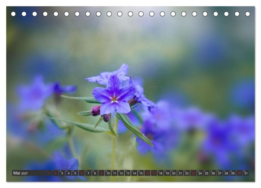 InsideView 10