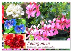 Pelargonien. Die Klassiker unter den Blühwundern (Wandkalender 2025 DIN A3 quer), CALVENDO Monatskalender - Rose Hurley