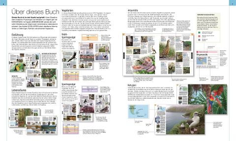 InsideView 2