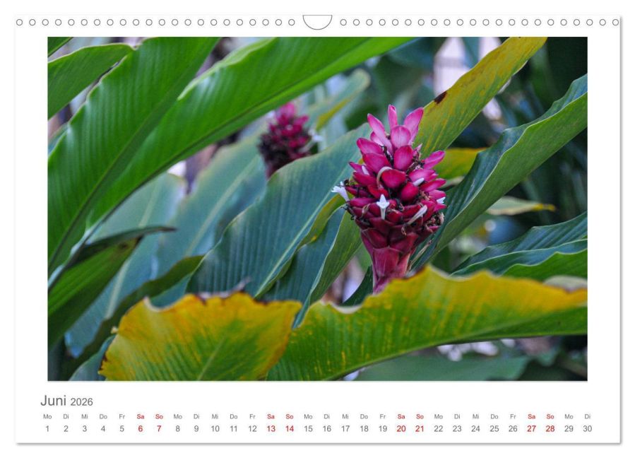 InsideView 11