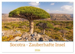 Cover-Bild zum Titel 'Socotra - Zauberhafte Insel (Wandkalender 2026 DIN A3 quer), CALVENDO Monatskalender' von 'Markus Gubitzer'