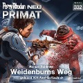 Cover-Bild zum Titel 'Perry Rhodan Neo 332: Weidenburns Weg' von 'Roman Schleifer'
