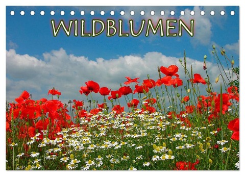 Wildblumen 2024 (Tischkalender 2024 DIN A5 quer), CALVENDO Monatskalender - Bildagentur Geduldig