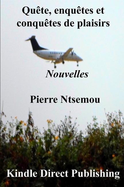 Quête, enquêtes et conquêtes de plaisirs - Pierre Ntsemou