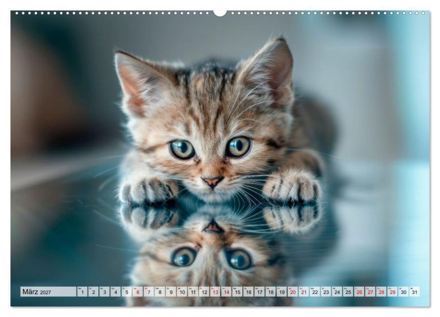 InsideView 7