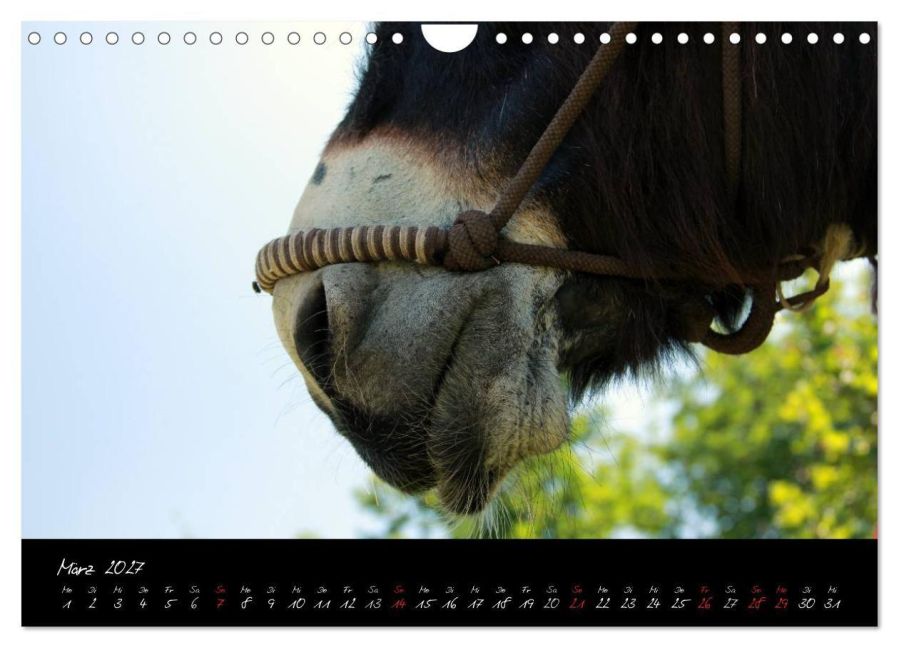 InsideView 8