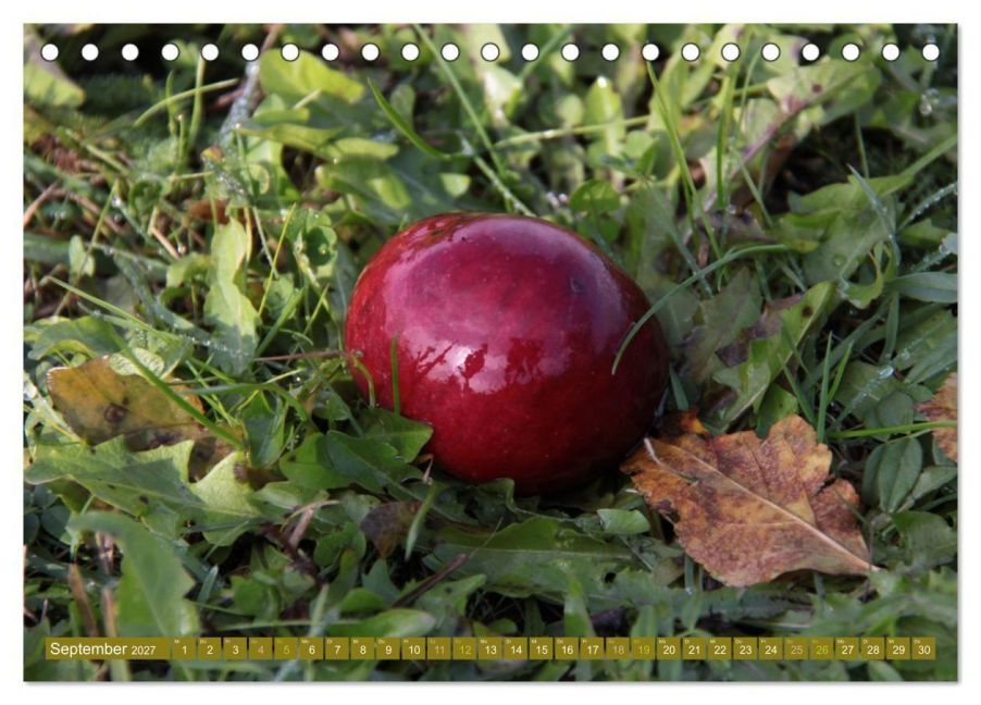 InsideView 14