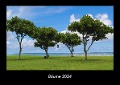 Bäume 2024 Fotokalender DIN A3 - Tobias Becker