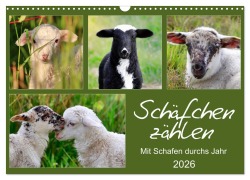 Cover-Bild zum Titel 'Schäfchen zählen - Mit Schafen durchs Jahr (Wandkalender 2026 DIN A3 quer), CALVENDO Monatskalender' von 'Sabine Löwer'