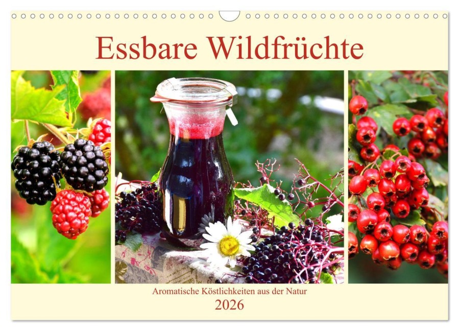 Essbare Wildfrüchte. Aromatische Köstlichkeiten aus der Natur (Wandkalender 2026 DIN A3 quer), CALVENDO Monatskalender - Rose Hurley
